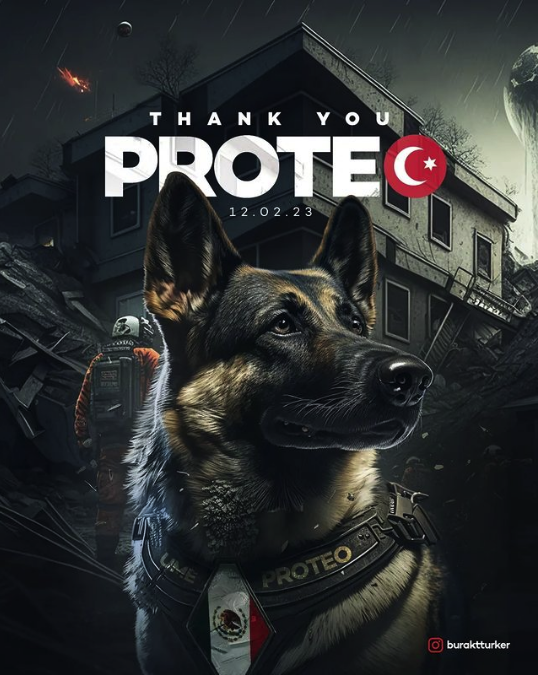 Diseñador turco hace homenaje a perro 'Proteo' 1 Captura de pantalla 2023 02 13 a las 10.07.26