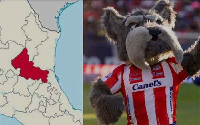 Lucho: la causa detrás de la mascota del Atlético de San Luis 1 LUCHO 2