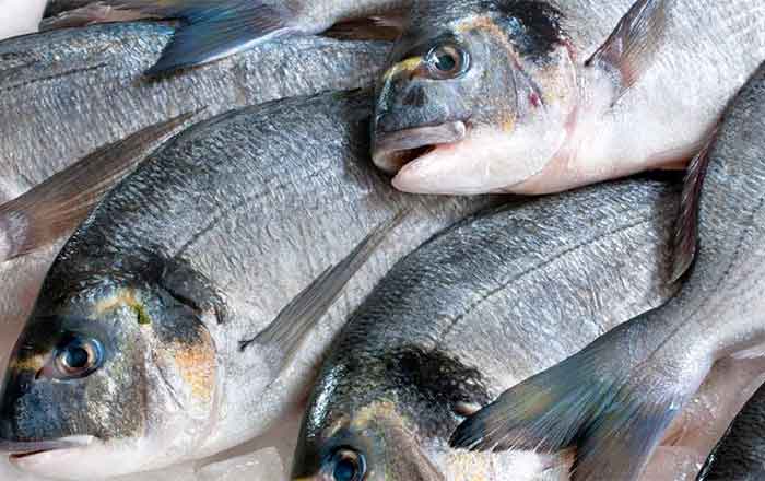 PESCADOS