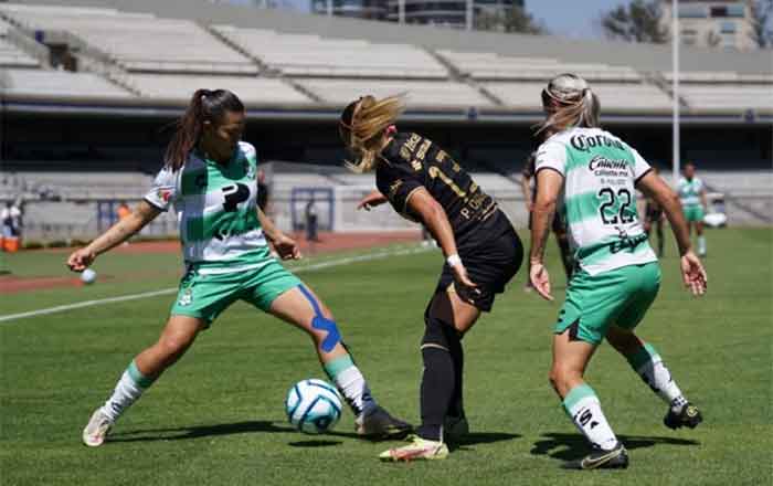 PUMAS-FEM-2