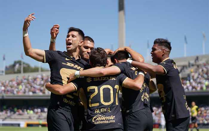 PUMAS