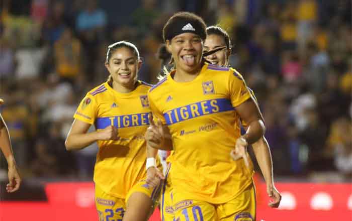 TIGRES-FEM