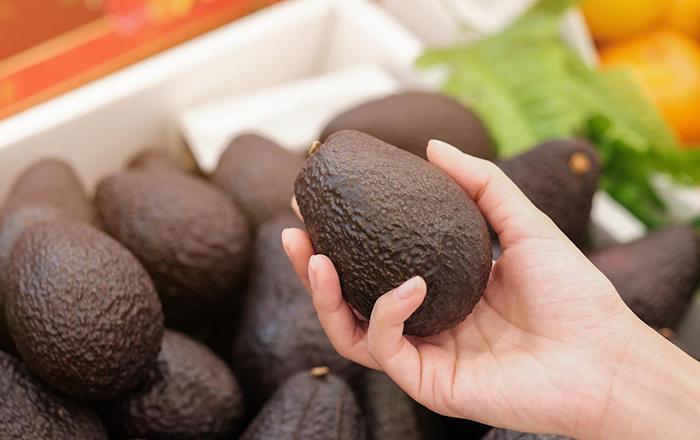 aguacate