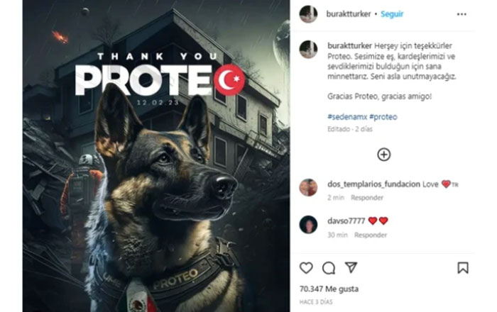 'Estamos orgullosos de ti', así rinde homenaje Sedena a 'Proteo', perro rescatista 1 burak