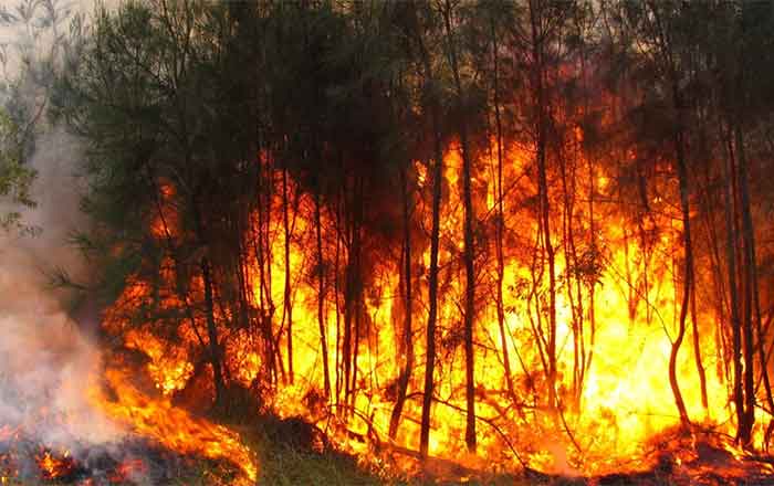 incendios
