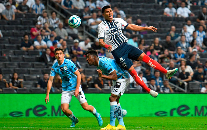 rayados