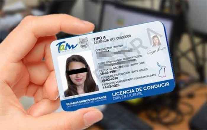 LICENCIA