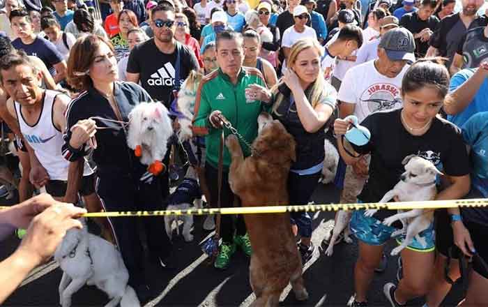 Realizan primer maratón canino en Coyoacán 1 MARATON CANINO 2