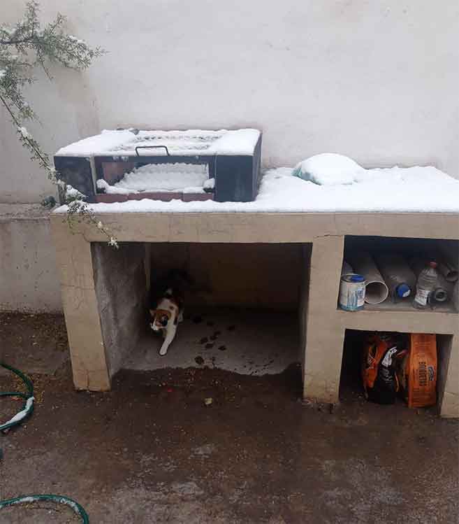 Sorprende caída de nieve en Monclova 4 MONCLOVA