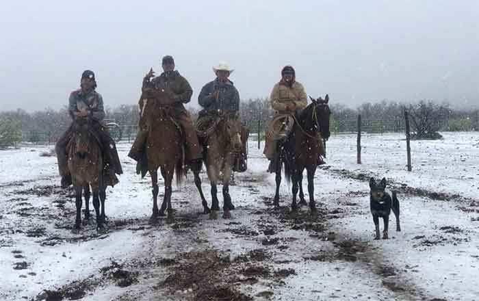 Sorprende caída de nieve en Monclova 1 NIEVE