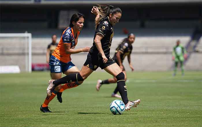 PUMAS-FEM