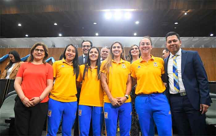 TIGRES-FEM