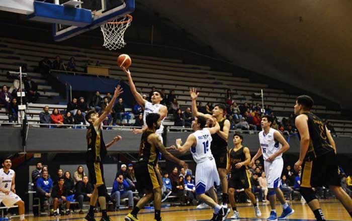 basket