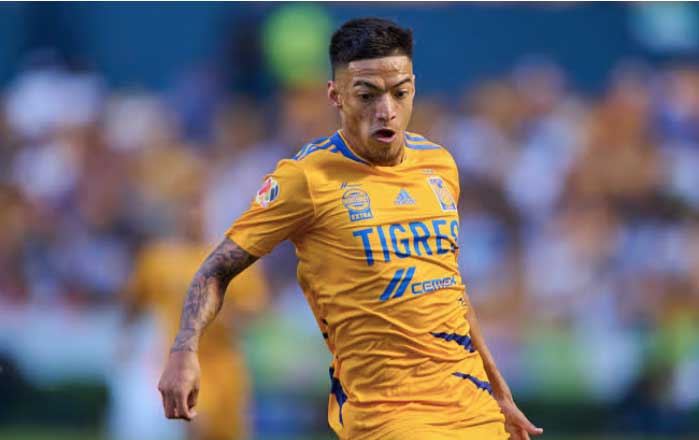 tigre