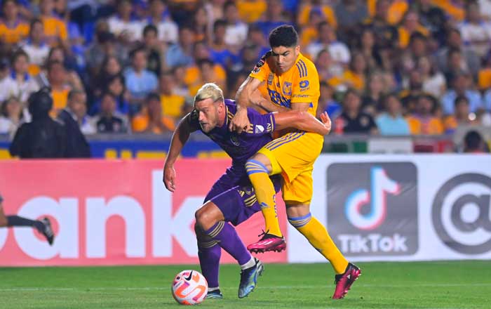 tigres