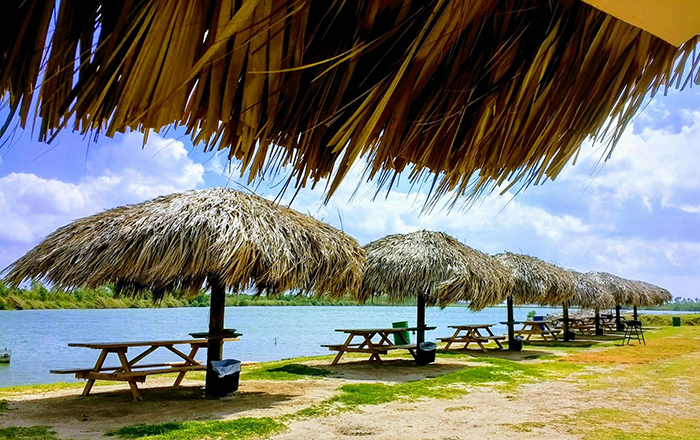 ¿Qué hacer en Reynosa en Semana Santa? 8 337888115 601828714890237 870825771866993159 n