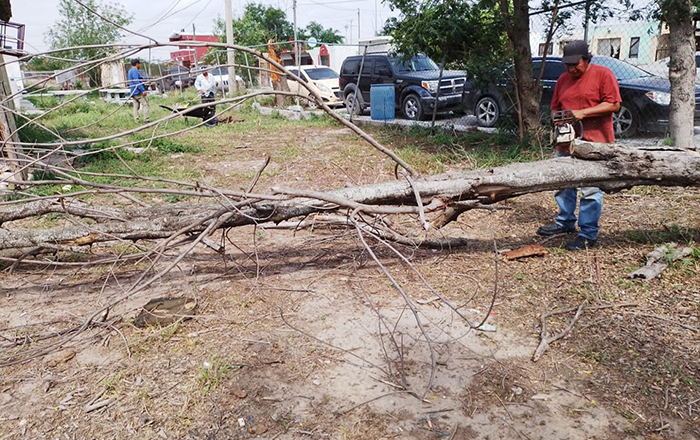 Limpian escuelas secundarias en Río Bravo 2 338028744 1867339596954951 1109911541720790769 n