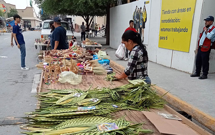 Llegan a Reynosa ramos y motivos por el Domingo de Ramos 7 338557444 531210828950193 2093102035312946561 n