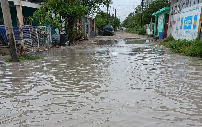 Deja lluvia inundaciones, árboles y postes caídos en Reynosa 4 338696673 4094985383973339 7827800619886939077 n