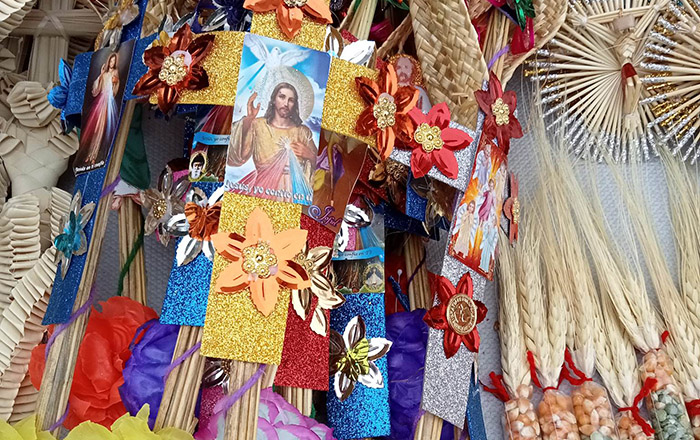 Llegan a Reynosa ramos y motivos por el Domingo de Ramos 2 338853668 181795971314613 8730718329450885613 n