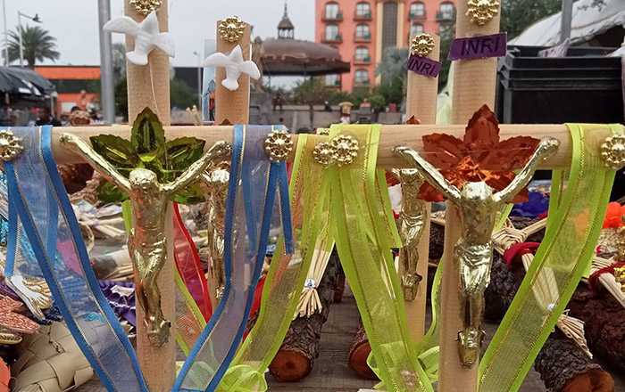 Llegan a Reynosa ramos y motivos por el Domingo de Ramos 1 339120812 238353202003758 3658610136850877172 n