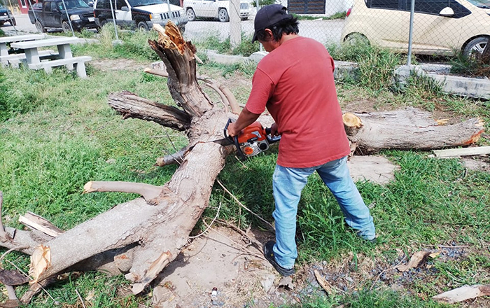 Limpian escuelas secundarias en Río Bravo 1 339419565 1362578187932775 5752034306675833294 n