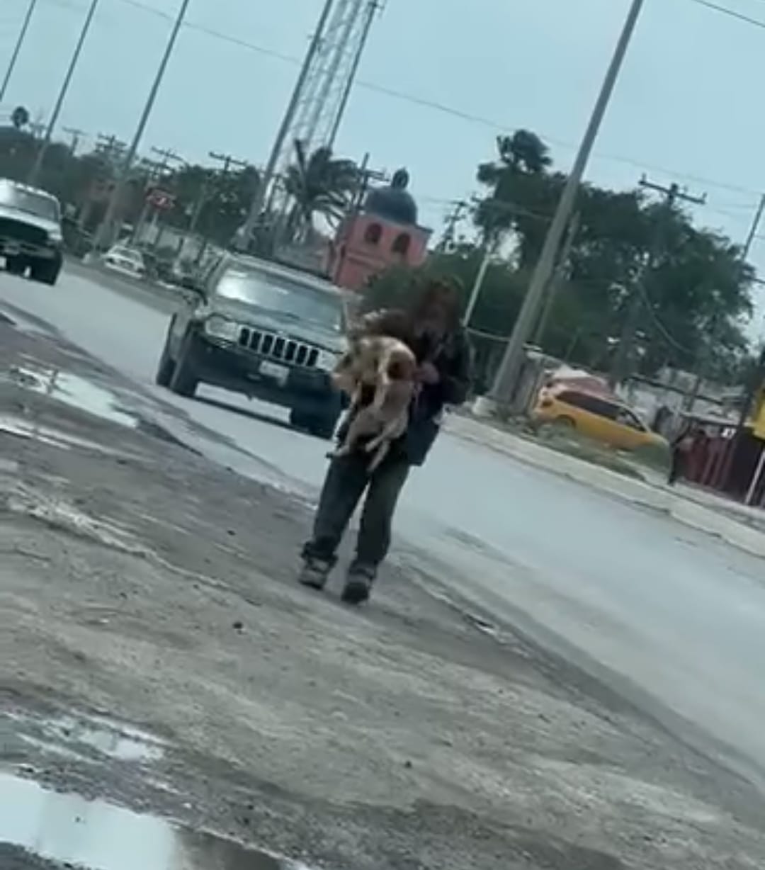 Indigente llora la muerte de su perro atropellado en Matamoros (VIDEOS) 1 339462879 233683742486989 4588040876938411922 n