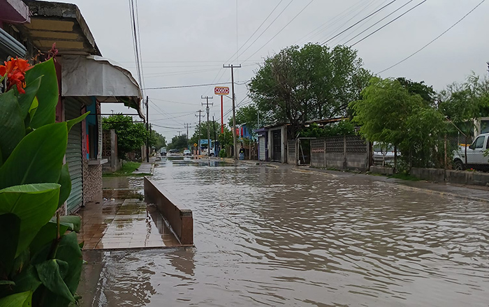 Deja lluvia inundaciones, árboles y postes caídos en Reynosa 3 339938229 243897261446766 2900406427672735053 n