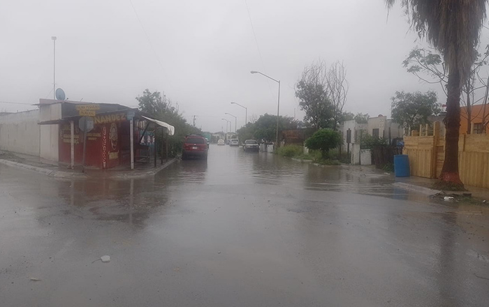 Deja lluvia inundaciones, árboles y postes caídos en Reynosa 2 340061238 892965405141142 3176298292400227381 n