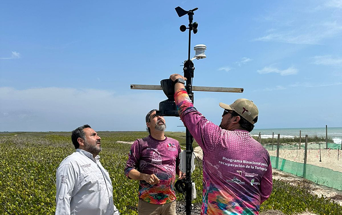 Instalan antenas para proteger huevos de tortugas en Tamaulipas 2 343787526 201802045949917 9103819007723686021 n