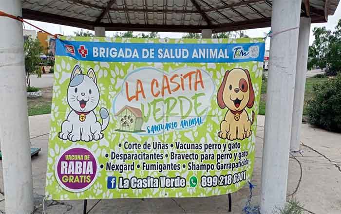 Harán brigada de La Casita Verde Reynosa para perros y gatos 1 BRIGADA