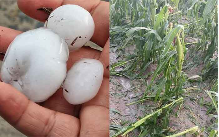 GRANIZADA