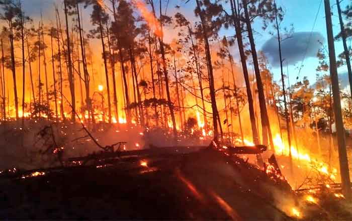 INCENDIO-PANAMA-2
