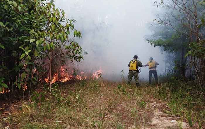 Autoridades panameñas en alerta por incendio forestal 1 INCENDIO PANAMA