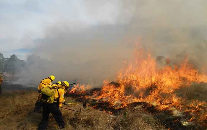 INCENDIO