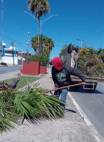 En Matamoros trabajan después de la tormenta 1 MATAMOROS 2 7