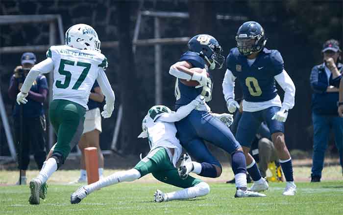 PUMAS-CU