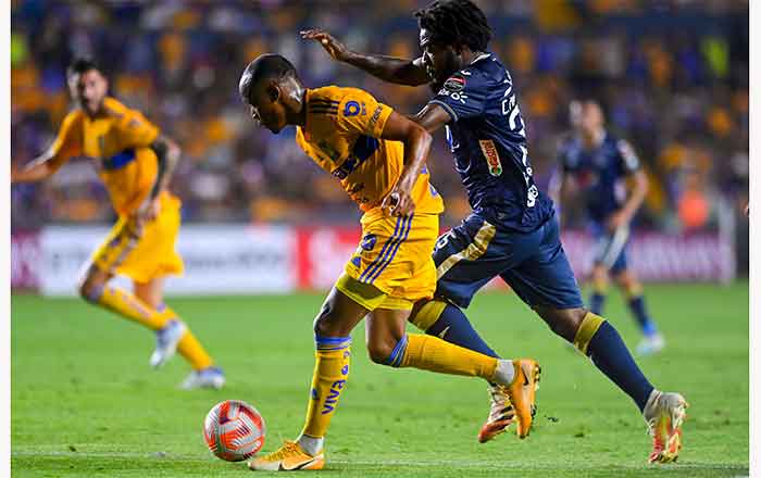 Arranca con pie derecho DT Siboldi 4 TIGRES 3