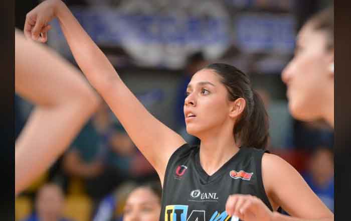 TIGRES-FEM