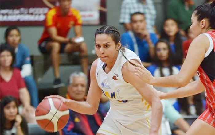 TIGRES-FEM