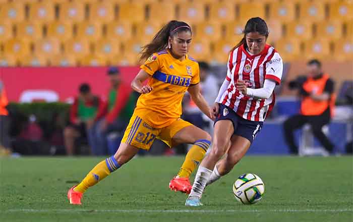 TIGRES-FEM-6