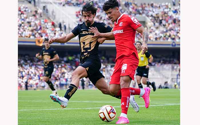 TOLUCA