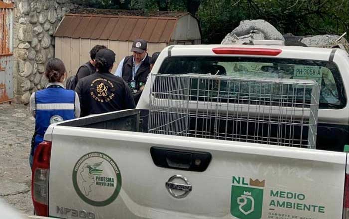 Interviene Secretaría de Medio Ambiente un criadero clandestino 2 med