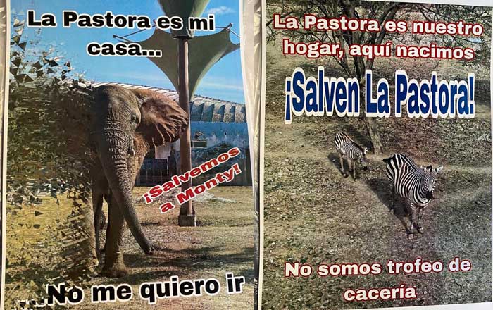 Se manifiestan en defensa de ‘La Pastora’; rechazan su desaparición 1 sal