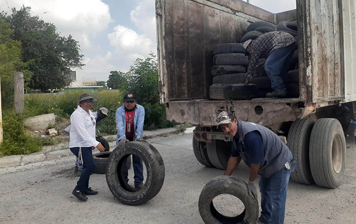 Realizan combate al dengue en Río Bravo 2 350156312 713396297219565 2374256432121025416 n