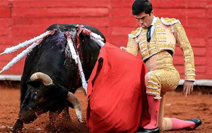 Esta noche es 'La Goyesca' en la Monumental Monterrey 2 FERMIN 2