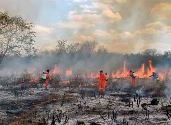 INCENDIO
