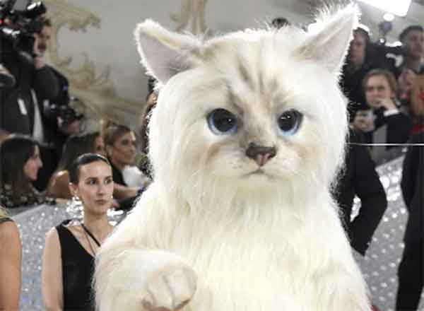 JARED-LETO-GATO