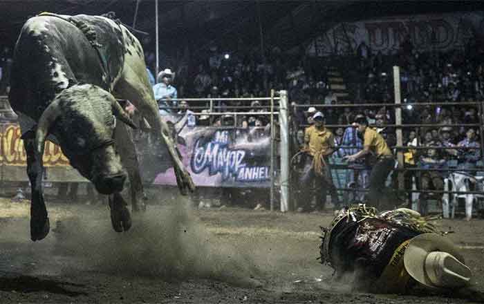 JARIPEO