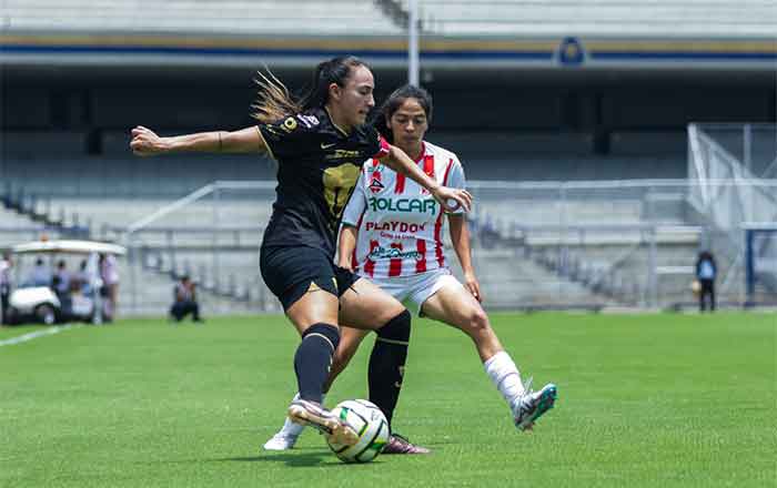 PUMAS-FEM